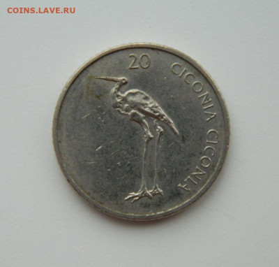 Словения 20 толаров 2005 г.(Фауна)  до 27.01.22 - DSCN2438.JPG