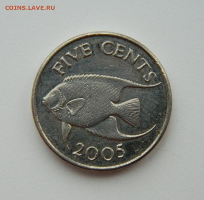 Бермудские острова 5 центов 2005 г. (Фауна). до 27.01.22 - DSCN2429.JPG