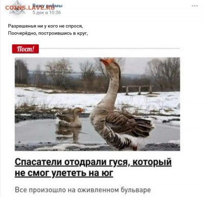 юмор - 3 (10)
