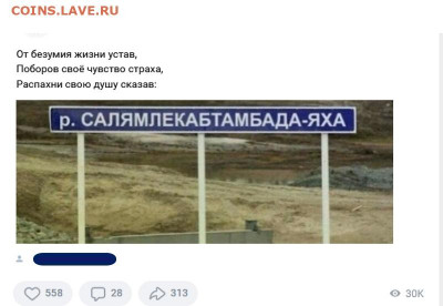 юмор - 3 (11)