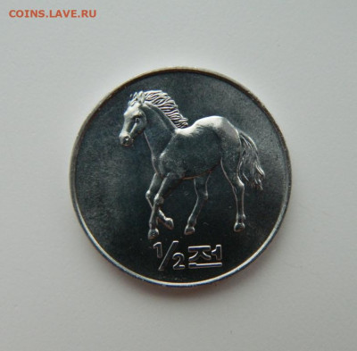 2 чона 2002 г.(Юбилейная)Лошадь до 27.01.22 - DSCN2478.JPG