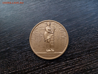 Наст мед скульптуры летнего сада - 300 лет СПБ Тяж.мет. Фикс - архит (2)