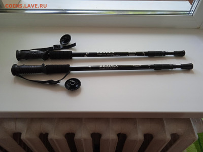 Трость.до 27.01.22г. - 003