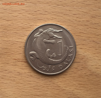 Гамбия 1 даласи 1971 Крокодил фауна животные - IMG_4799.JPG