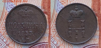Полушка 1853 ем  до 29.01.2022 - WhatsApp Image 2022-01-25 at 14.47.33 (10)