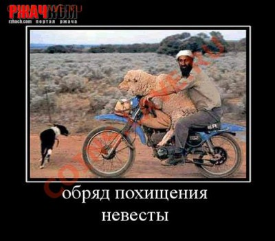Подарок для смекалистого форумчанина ! - 825882_obryad-pohischeniya-nevestyi