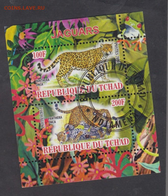 Чад 2011 фауна пантеры 2м лист до 31 01 - 77
