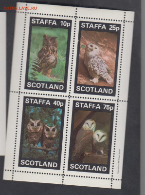 Шотландия 1981 совы лист** до 31 01 - 82