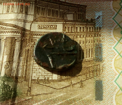 Тетрахалк.Фанагория. до28.01.22. - IMG_20220126_113606