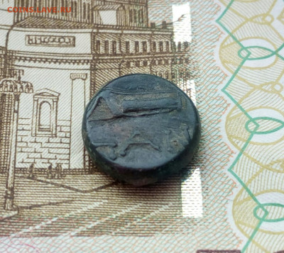 Обол.Пантикопея.Аполлон.до 28.01.22. - IMG_20220126_115418