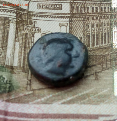 Обол.Пантикопея.Аполлон.до 28.01.22. - IMG_20220126_115320