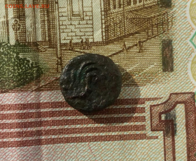 Дихалк.Пантикопея."Крыло"'. До 28.01.22. - IMG_20220126_122014