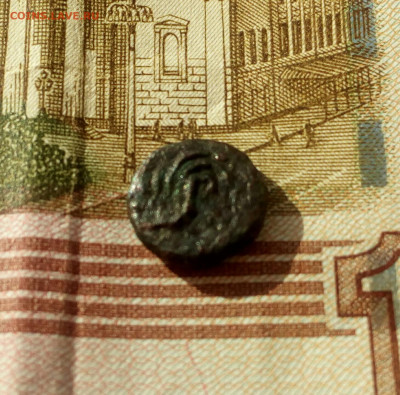 Дихалк.Пантикопея."Крыло"'. До 28.01.22. - IMG_20220126_122043