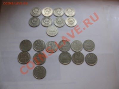 1967 без остей? 1988 Носик у еденицы - IMG_5925.JPG