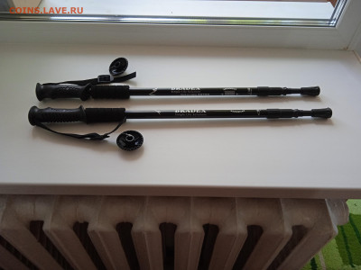 Трость.до 27.01.22г. - 004