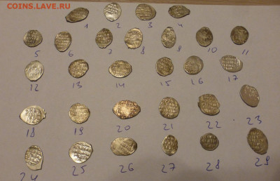 Чешуя, определения и оценка - P1110692.JPG