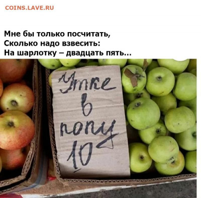 юмор - 4 (13)