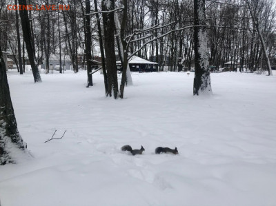 Угадай результат на PARKRUN Елагин остров (29.01.2022) - IMG-20220129-WA0077