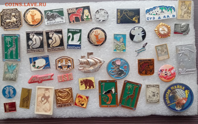 Знаки детские по 10р до 05.02.22 в 22.00 по мск - IMG_20220130_140806