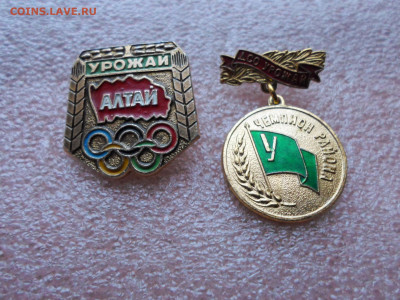 ДСО "Урожай" - SAM_9964.JPG