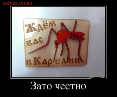 юмор - 1492845319_021