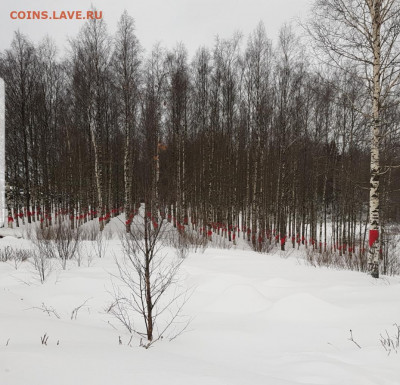 делает - прямо сейчас !!! - Screenshot_20220131-121223_Gallery