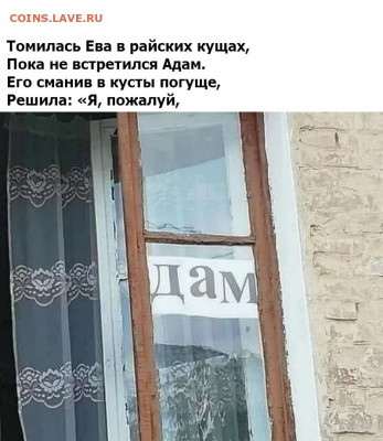 юмор - 5 (1)