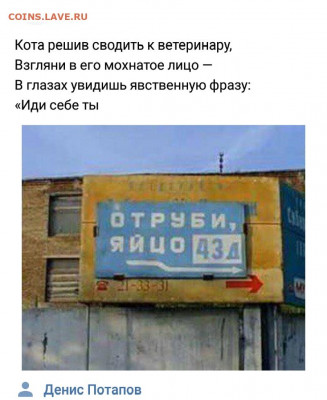 юмор - 5 (13)