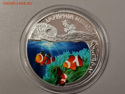 500 франков 2010 Руанда- Рыба-клоун Ag999, до 05.02 - С Рыба-клоун-1