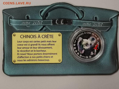 1000фр 2012 Бенин- Китайская хохл собачка, Ag999, до 05.02 - С Собака Хохлатая-3