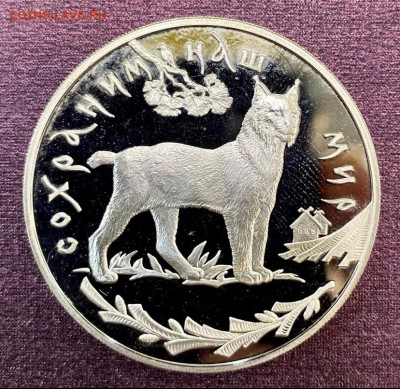 3 рубля 1995, рысь, PROOF. До 03.02.22 - A7D7EEA2-96E7-4576-8013-0EA853C8EC03