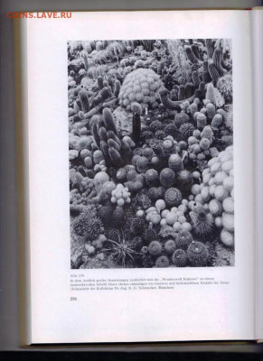 Книга Wunderwelt Kakteen 1968 г. до 07.02.22 г. в 23.00 - 033