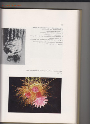 Книга Wunderwelt Kakteen 1968 г. до 07.02.22 г. в 23.00 - 035