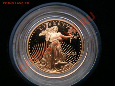 №9 - игл (1).JPG