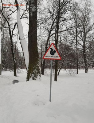 делает - прямо сейчас !!! - Screenshot_20220201-090223_Gallery