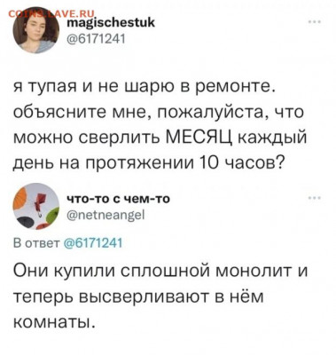 юмор - Берлога