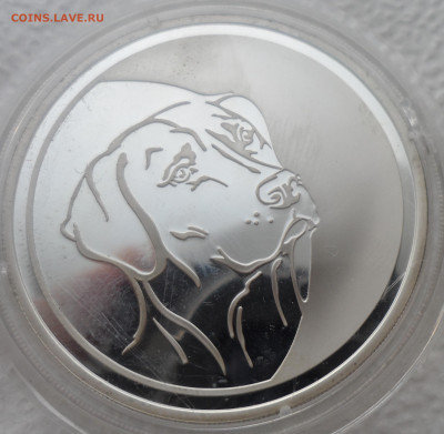 3 рубля 2006 года, ММД, собака Proof - SAM_2632.JPG