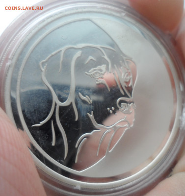 3 рубля 2006 года, ММД, собака Proof - SAM_2630.JPG