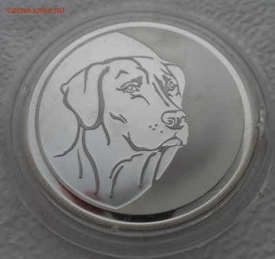3 рубля 2006 года, ММД, собака Proof - SAM_2625.JPG