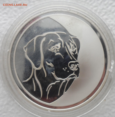 3 рубля 2006 года, ММД, собака Proof - SAM_2624.JPG