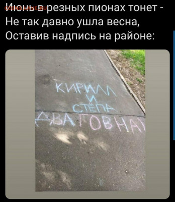 юмор - 6 (13)