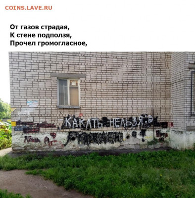 юмор - 6 (12)