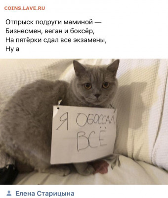 юмор - 6 (11)