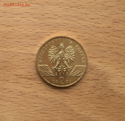 Польша 2 злотых 2013 Зубр фауна животные - IMG_4417.JPG