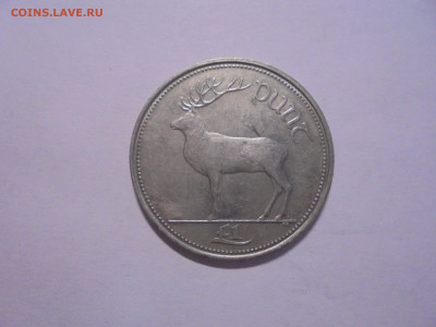 ИРЛАНДИЯ 1 фунт 1990 Олень до 6.02 в 22.00 мск - ин1 017.JPG