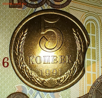 5 копеек 1991 выкус до 8.02.22 - 22