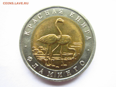 кк Фламинго 50 руб 1994 до 06.02.22 в 22:30 - IMG_0262.JPG