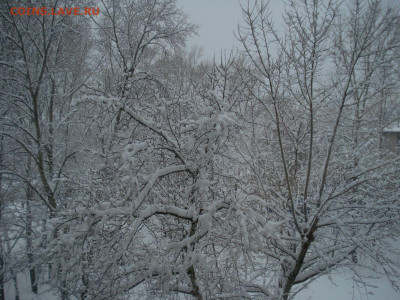Чатик на самарском - DSC06039.JPG