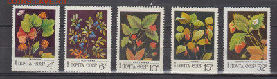 СССР 1982 ягоды 5м ** до 10 02 - 82г
