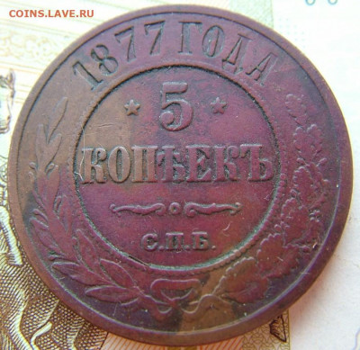 5 копеек 1877 СПБ до 10.02.2022 в 22.00 по Мск - DSCF5843.JPG